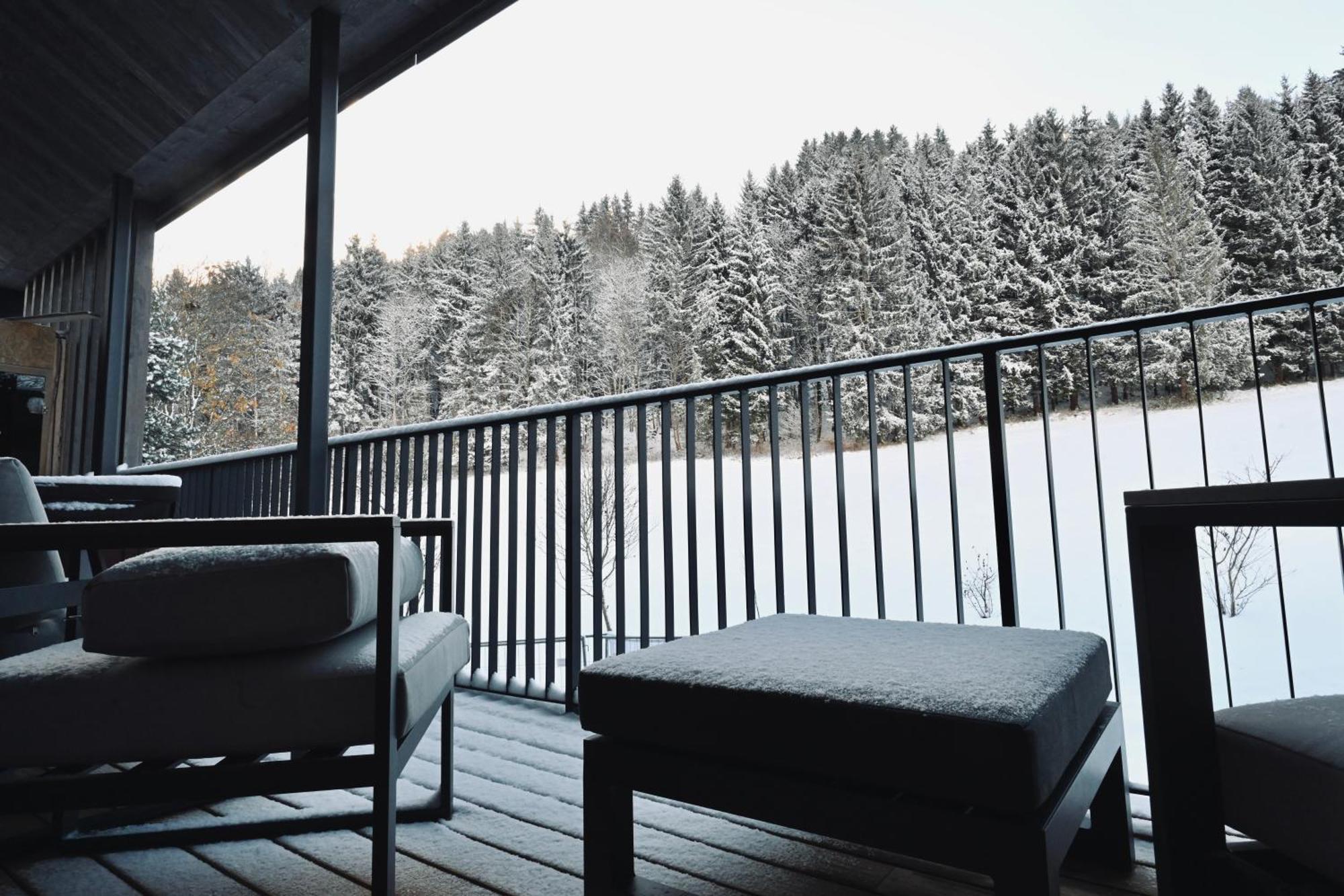 Aloha Suites - Alpin Lodge Haus Haus im Ennstal Eksteriør bilde